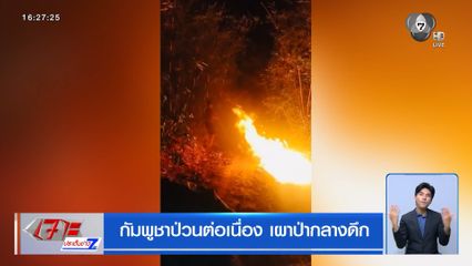 กัมพูชาป่วนต่อเนื่อง เผาป่ากลางดึก