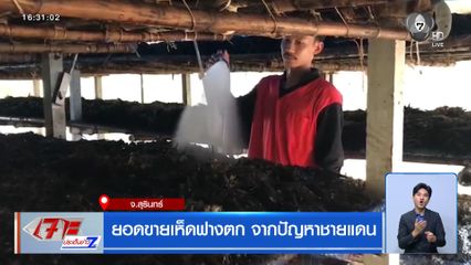 ยอดขายเห็ดฟางตก จากปัญหาชายแดน