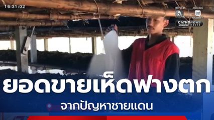 ยอดขายเห็ดฟางตก จากปัญหาชายแดน