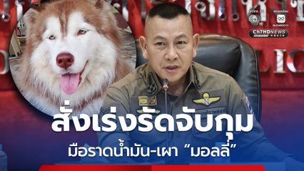 ผบ.ตร. สั่งเร่งติดตามจับกุมคนร้ายราดน้ำมัน-จุดไฟเผา มอลลี่