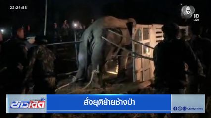สั่งยุติย้ายช้างป่า