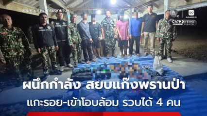 ทลายแก๊งล่าสัตว์ป่าคาแนวรอยต่อ ขสป.คลองนาคา - ขสป.คลองยัน พบซากสัตว์ป่าเพียบ