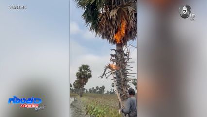 กัมพูชาเผาป่าต่อเนื่อง กระทบทั้งคนและสัตว์ป่า