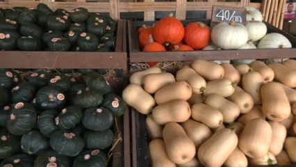 กรมวังผู้ใหญ่ประจำพระองค์ฯ นำผู้อบรมโครงการสัมมนาร่วมกับหน่วยงานที่เกี่ยวข้องตามความเสี่ยงในพื้นที่ชายแดนภาคเหนือ: หลักสูตร (FIN) ศึกษาดูงานโครงการร้อยใจรักษ์ ในพระดำริฯ