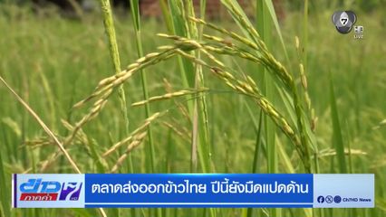 ตลาดส่งออกข้าวไทย ปีนี้ยังมืดแปดด้าน