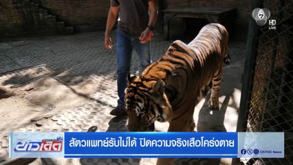 สัตวแพทย์รับไม่ได้ ปิดความจริงเสือโคร่งตาย
