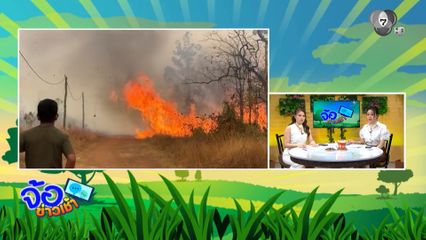 กัมพูชาเผาไม่เลิก ตั้งใจจุดไฟเผาป่า-เผาหญ้า หวังให้กลุ่มควันไฟลอยมาฝั่งไทย 