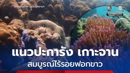 อุทยานฯ หาดวนกร เผยผลสำรวจแนวปะการังเกาะจาน พบสมบูรณ์ไร้รอยฟอกขาว พร้อมเดินหน้ามาตรการเข้มงวด "อุทยานสีเขียว"