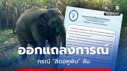 สัตวแพทยสภา ออกแถลงการณ์กรณีสีดอหูพับล้ม