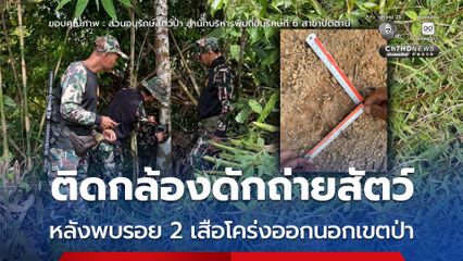 ติดกล้องดักถ่ายสัตว์ หลังพบรอย 2 เสือโคร่งออกนอกเขตป่า