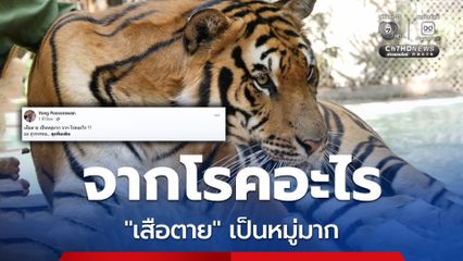 หมอยง ย้อนอดีต 20 ปี เสือตายเป็นหมู่มากจากโรคอะไร