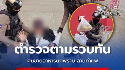 ตำรวจตามรวบทัน จับคนขายอาหารนกพิราบให้นักท่องเที่ยวถ่ายรูปบนลานท่าแพ