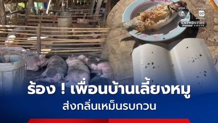 ผู้ป่วยติดเตียงโอดครวญ เพื่อนบ้านเลี้ยงหมูส่งกลิ่นเหม็นรบกวน