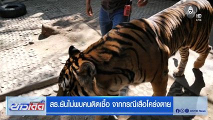 สธ.ยันไม่พบคนติดเชื้อ จากกรณีเสือโคร่งตาย