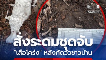 อธิบดีกรมอุทยานฯ สั่งระดมชุดติดตามจับ "เสือโคร่ง" หลังกัดวัวชาวบ้านในเขต อช.อินทนนท์ จ.เชียงใหม่