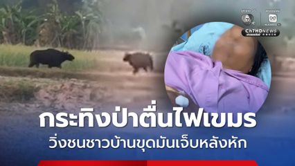 กระทิงป่าตื่นไฟที่ทางกัมพูชาเผาป่า วิ่งชนชาวบ้าน จ.ศรีสะเกษ หลังหัก