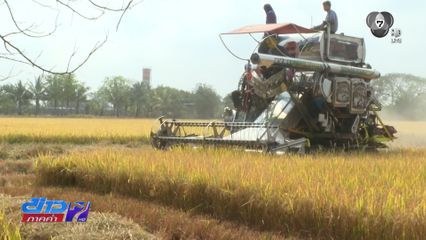 รายงานพิเศษ : พายุภาษี ทรัมป์ ถล่มรากหญ้า