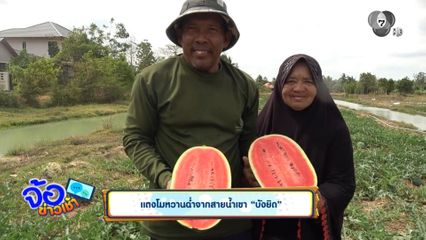 แตงโมหวานฉ่ำจากสายน้ำเขา บังยิด