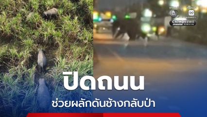 ชาวบ้าน - เจ้าหน้าที่ ปิดถนนช่วยผลักดัน 2 ช้างป่ากลับคืนสู่ธรรมชาติ
