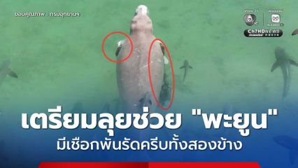 กรมอุทยานฯ - กรมทะเลฯ เตรียมลุยช่วยเหลือ “พะยูน” เกาะลิบอง มีเชือกพันรัดครีบทั้งสองข้าง