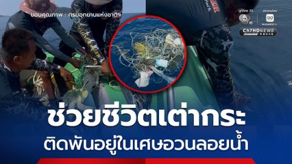 ช่วยชีวิตเต่ากระ ติดพันอยู่ในเศษอวนลอยน้ำ