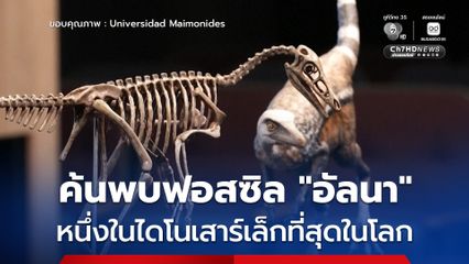ค้นพบฟอสซิล “อัลนา” หนึ่งในไดโนเสาร์ที่มีขนาดเล็กที่สุดในโลก ในภูมิภาคปาตาโกเนียของอาร์เจนตินา