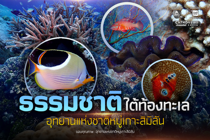 ธรรมชาติใต้ท้องทะเล อุทยานแห่งชาติหมู่เกาะสิมิลัน