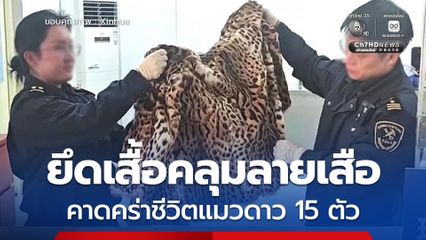 ศุลกากรสนามบินปักกิ่งยึดเสื้อคลุมลายเสือ คาดคร่าชีวิตแมวดาว 15 ตัว