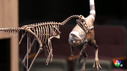 พบฟอสซิลหนึ่งในไดโนเสาร์ขนาดเล็กที่สุด ที่อาร์เจนตินา