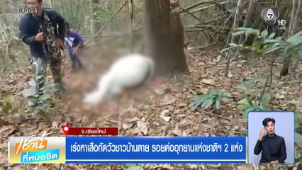 เร่งหาเสือกัดวัวชาวบ้านตาย รอยต่ออุทยานแห่งชาติฯ 2 แห่ง