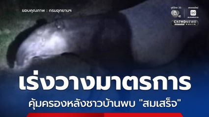 เขตรักษาพันธุ์สัตว์ป่าโตนงาช้าง เร่งวางมาตรการคุ้มครองหลังชาวบ้านพบ "สมเสร็จ" สัตว์ป่าสงวนหายากลงเขากินผลไม้ในสวน