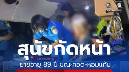 สุนัขกัดหน้ายายอายุ 89 ปี ขณะกอด-หอมแก้ม จ.สมุทรปราการ