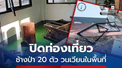 ช้างป่าวนเวียนในพื้นที่ ปิดการท่องเที่ยวชั่วคราว น้ำตกนางครวญ