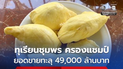 เปิด 5 อันดับ ทุเรียน GI “ทุเรียนชุมพร” ครองใจอันดับ 1 ยอดขายทะลุ 49,000 ล้านบาท
