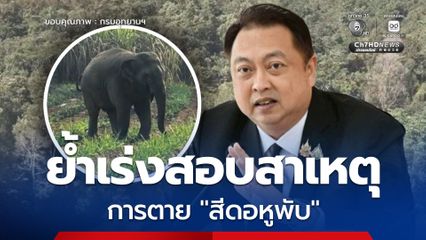 “สุชาติ” ขอบคุณจิตอาสารักสัตว์ ย้ำเร่งสอบสาเหตุการตาย “สีดอหูพับ” โปร่งใส พร้อมเปิดเผยต่อสังคม