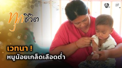 ทุกชีวิต : เวทนา ! หนูน้อยเกล็ดเลือดต่ำ