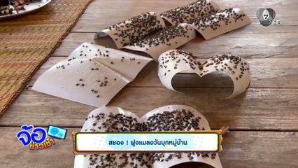 สยอง ! ฝูงแมลงวันบุกหมู่บ้าน