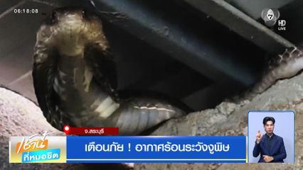 เตือนภัย ! อากาศร้อนระวังงูพิษ จ.สระบุรี