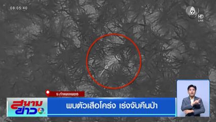 พบตัวเสือโคร่ง เร่งจับคืนป่า