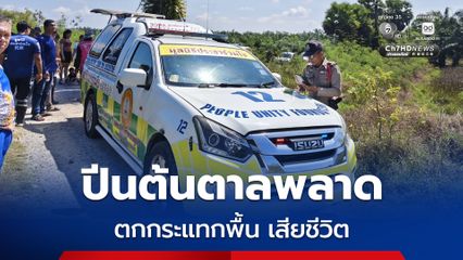 หญิงวัย 73 ปี ปีนต้นตาลพลาด ตกกระแทกพื้นเสียชีวิต