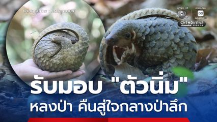 เจ้าหน้าที่ อช.ศรีพังงา รับมอบ "ตัวนิ่ม" หลงป่าจากพลเมืองดี ก่อนส่งทีม Smart Patrol นำคืนสู่ใจกลางป่าลึก