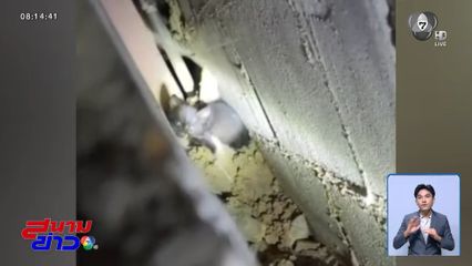 ทุบกำแพงช่วยแมวน้อย จ.ชลบุรี