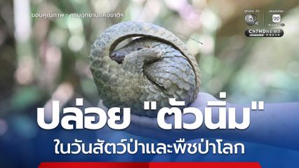 ปล่อย “ตัวนิ่ม” ในวันสัตว์ป่าและพืชป่าโลก