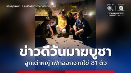 ข่าวดีวันมาฆบูชา  ลูกเต่าหญ้าฟักออกจากไข่ 81 ตัว