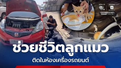 ช่วยชีวิตลูกแมวติดห้องเครื่องรถยนต์ เจ้าของรถตั้งชื่อ “น้องบุญรอด” พร้อมรับเลี้ยง