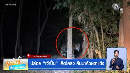 ปล่อย "เจ้าปิ่น" เสือโคร่ง คืนป่าห้วยขาแข้ง