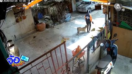 ร้องเพื่อนบ้านเลี้ยงสุนัข จนอยู่กันไม่เป็นสุข