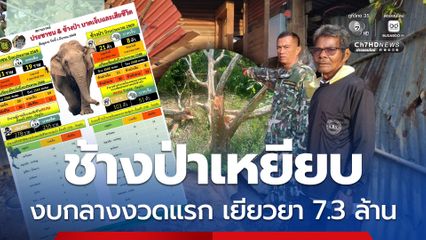 งบกลาง งวดแรก 7.3 ล้านบาท เยียวยาผู้ได้รับผลกระทบจากช้างป่า