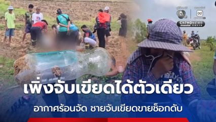 เพิ่งจับเขียดได้ตัวเดียว อากาศร้อนจัด ชายจับเขียดขายช็อกดับ