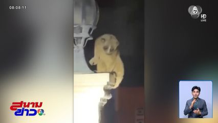 ช่วย "นางอาย" ถูกนำมาปล่อยทิ้ง ?